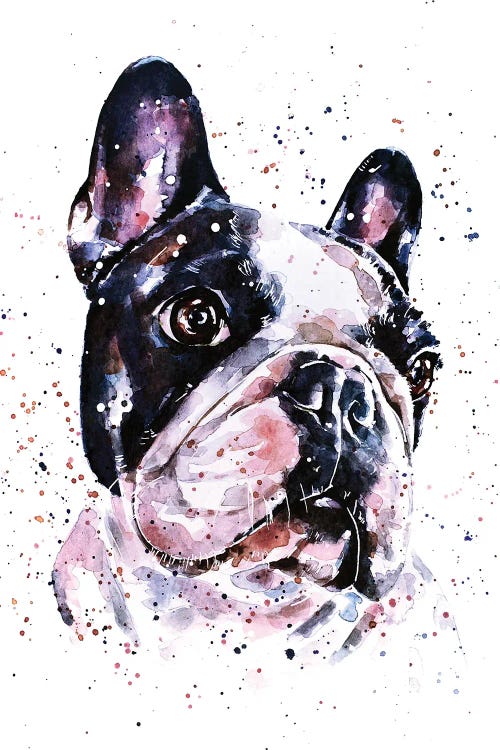 A Penny For Your Thoughts French Bulldog