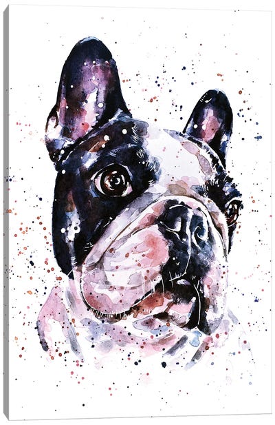 A Penny For Your Thoughts French Bulldog Canvas Art Print - French Bulldog Art