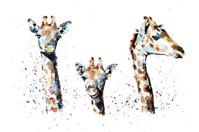 Tres Amigos Giraffees by EdsWatercolours art print