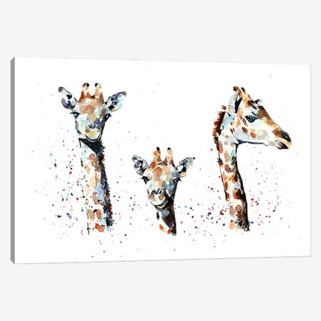 Tres Amigos Giraffees Canvas Print #EWC200} by EdsWatercolours Canvas Wall Art