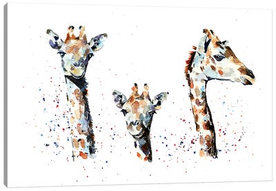 Tres Amigos Giraffees Canvas Art Print - EdsWatercolours