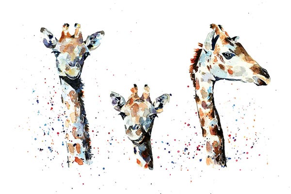 Giraffes: Tres Amigos Giraffees by EdsWatercolours