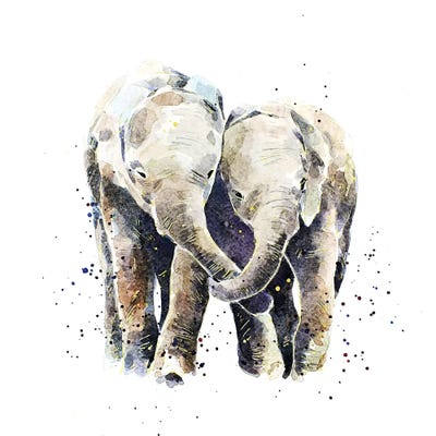 Two Elephants by EdsWatercolours canvas print
