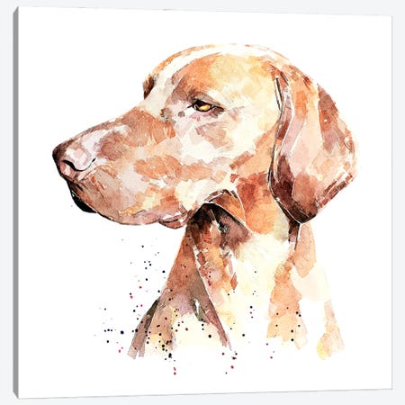 Vizsla A Penny For Your Thoughts Canvas Print #EWC204} by EdsWatercolours Art Print