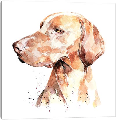 Vizsla A Penny For Your Thoughts Canvas Art Print