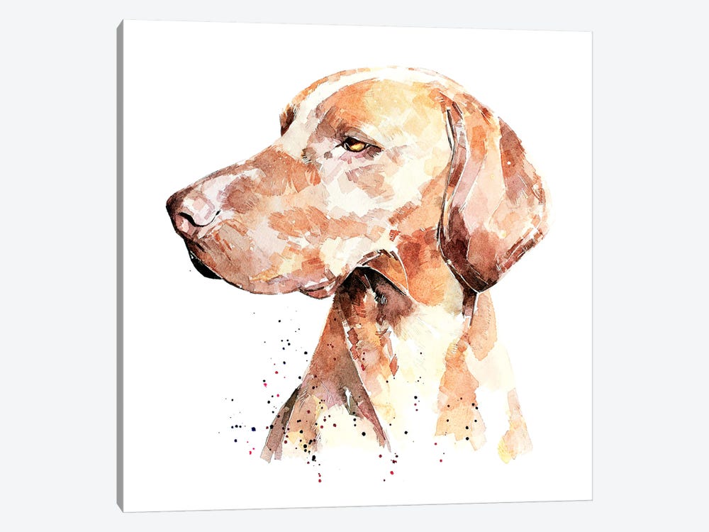 Vizsla A Penny For Your Thoughts by EdsWatercolours 1-piece Canvas Wall Art