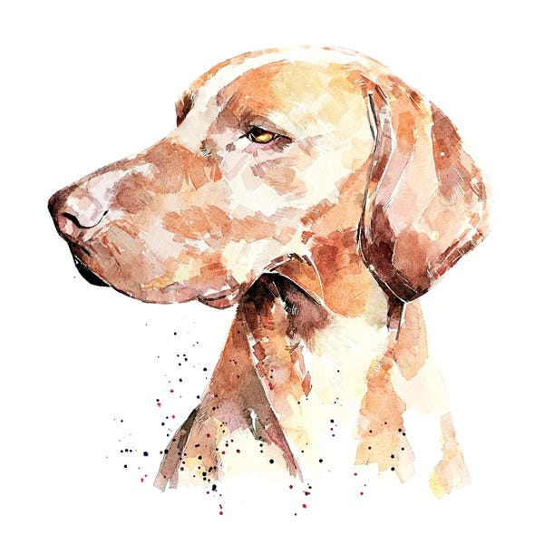 EdsWatercolours: Vizsla A Penny For Your Thoughts by EdsWatercolours