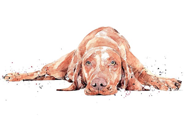 Vizslas