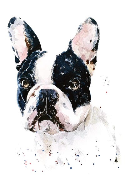 Best Of Both Worlds French Bulldog by EdsWatercolours metal wall art