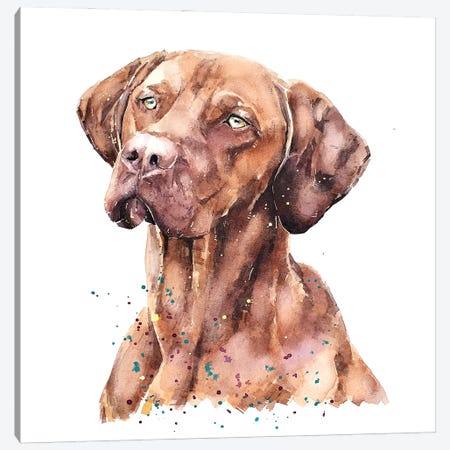 Vizsla Lost In Thought Canvas Print #EWC210} by EdsWatercolours Art Print