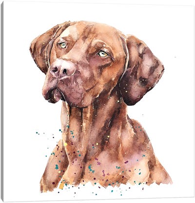 Vizsla Lost In Thought Canvas Art Print