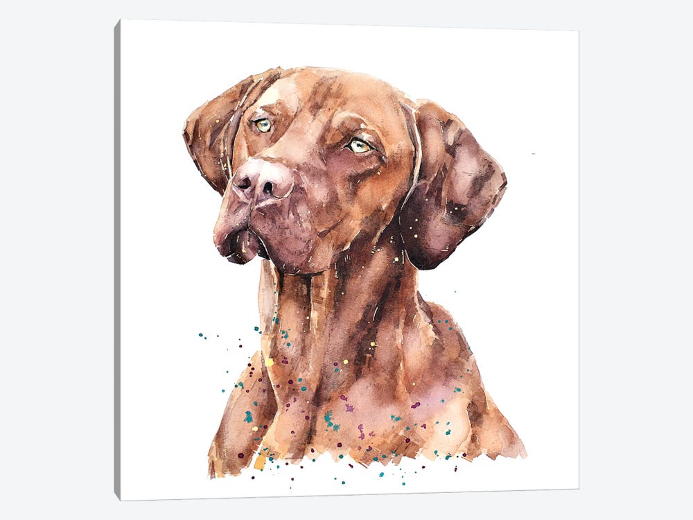 Vizsla Lost In Thought by EdsWatercolours 1-piece Canvas Print
