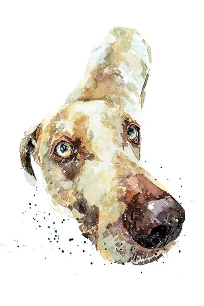 EdsWatercolours: Weimaraner III by EdsWatercolours