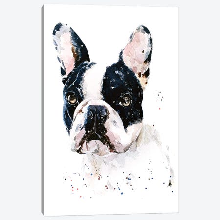 Best Of Both Worlds French Bulldog Canvas Print #EWC21} by EdsWatercolours Canvas Wall Art