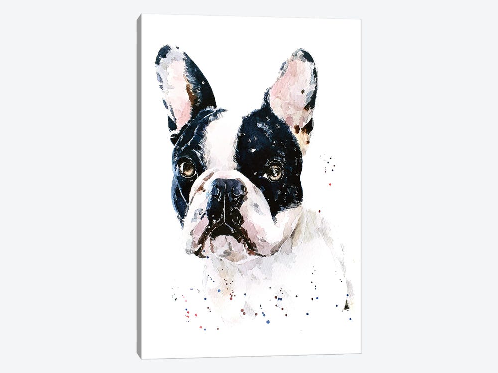 Best Of Both Worlds French Bulldog by EdsWatercolours 1-piece Art Print