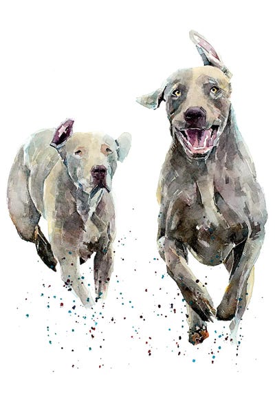 Weimaraner Runners by EdsWatercolours acrylic art print