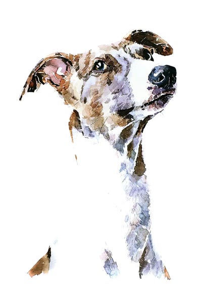 Whippets: Whippet by EdsWatercolours