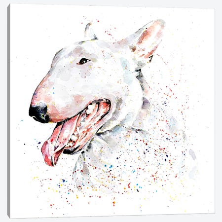 White English Bull Terrier Canvas Print #EWC226} by EdsWatercolours Canvas Print