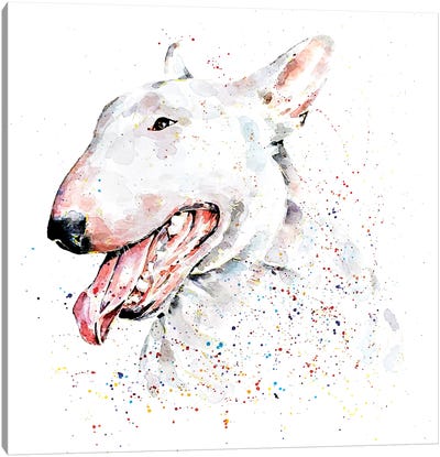 White English Bull Terrier Canvas Art Print - Bull Terrier Art