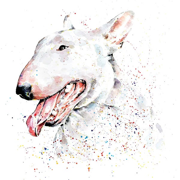 Bull Terriers: White English Bull Terrier by EdsWatercolours