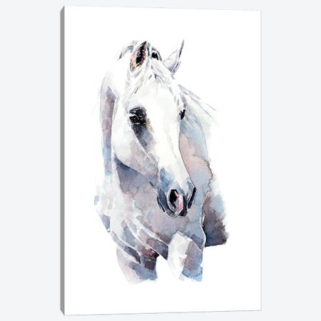 White Walker Horse Canvas Print #EWC230} by EdsWatercolours Canvas Print