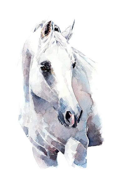 EdsWatercolours: White Walker Horse by EdsWatercolours