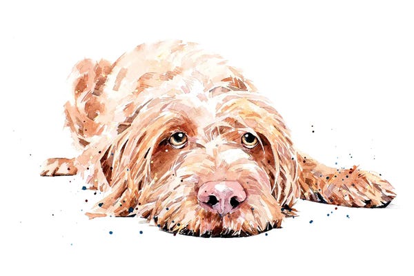 EdsWatercolours: Wire Viz by EdsWatercolours