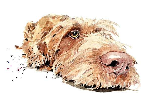 EdsWatercolours: Wire Viz II by EdsWatercolours