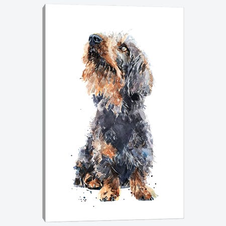 Wirehaired Dachshund II Canvas Print #EWC236} by EdsWatercolours Canvas Wall Art