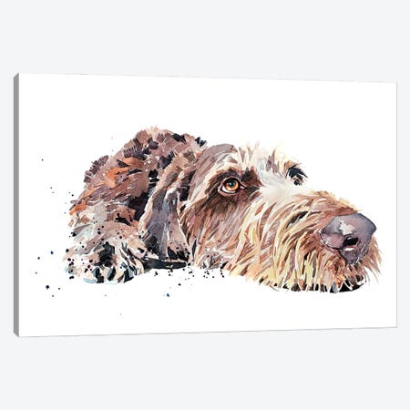 Wirehaired German Pointer Canvas Print #EWC238} by EdsWatercolours Art Print