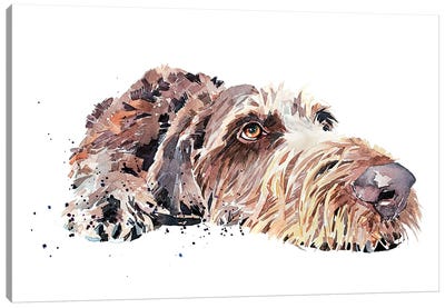 Wirehaired German Pointer Canvas Art Print - EdsWatercolours