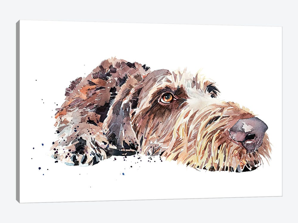 Wirehaired German Pointer by EdsWatercolours 1-piece Canvas Art Print