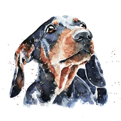 Black And Tan Dachshund by EdsWatercolours metal wall art