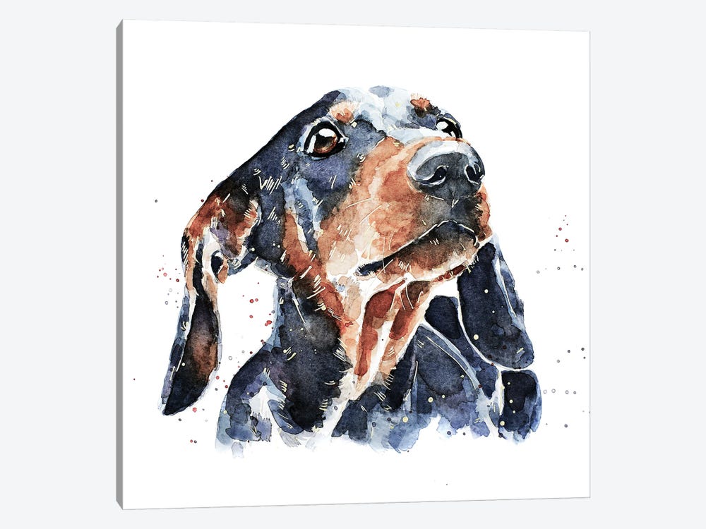 Black And Tan Dachshund by EdsWatercolours 1-piece Canvas Art Print