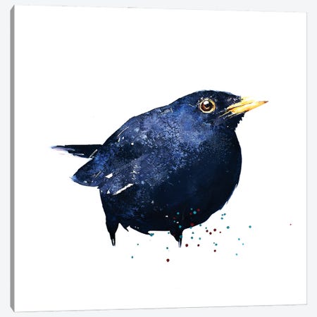 Black Bird Canvas Print #EWC26} by EdsWatercolours Art Print