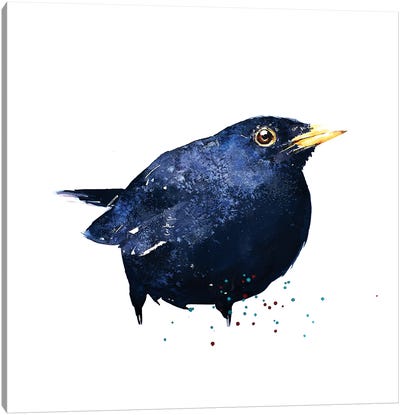 Black Bird Canvas Art Print - EdsWatercolours