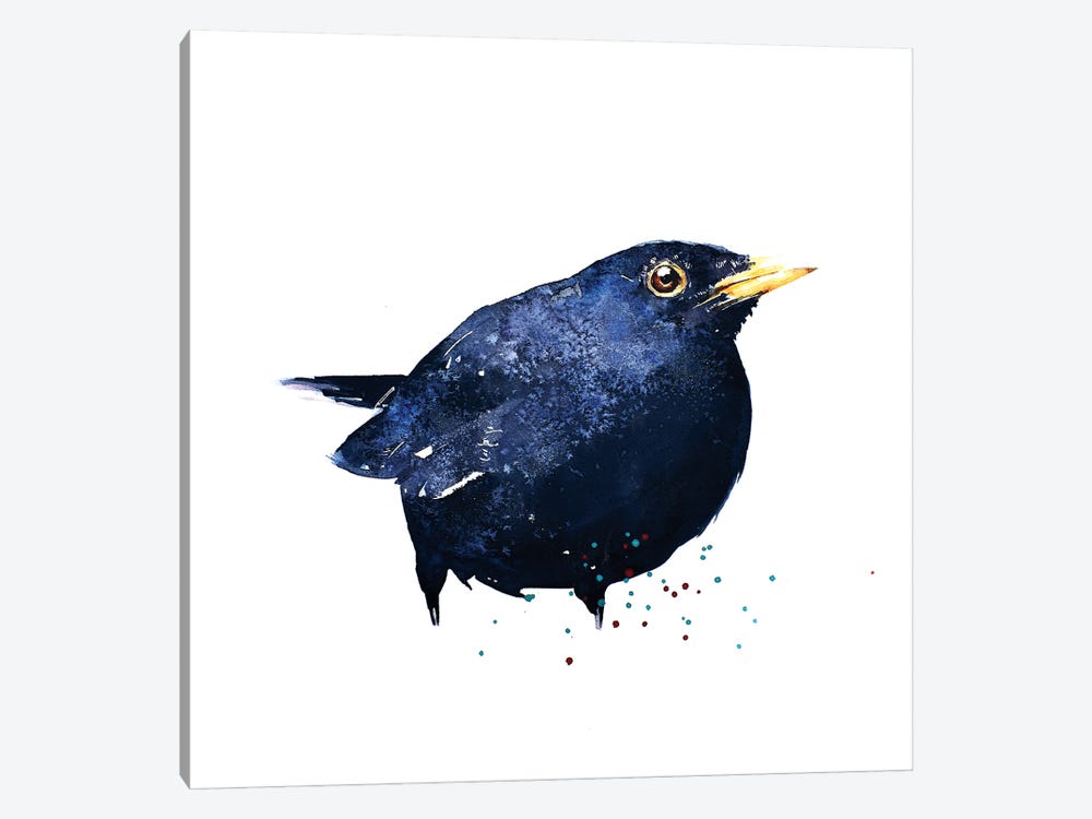 Black Bird by EdsWatercolours 1-piece Canvas Wall Art