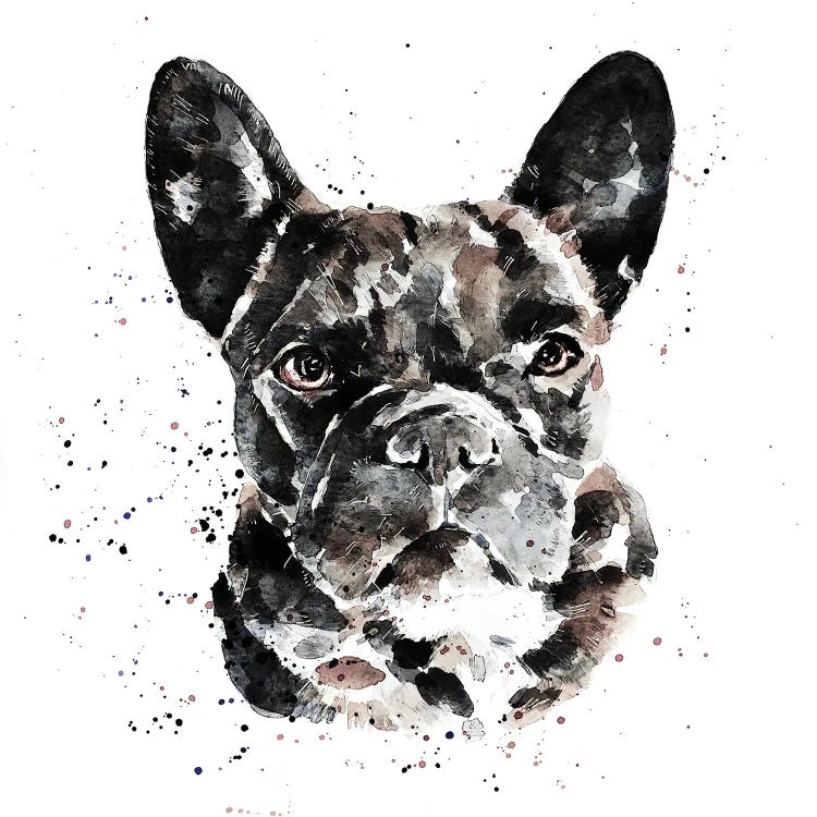 Black Frenchie by EdsWatercolours  wall art