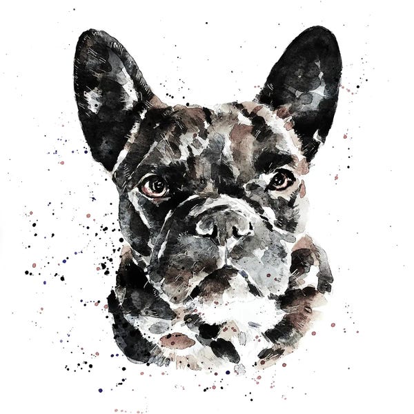 French Bulldogs: Black Frenchie by EdsWatercolours