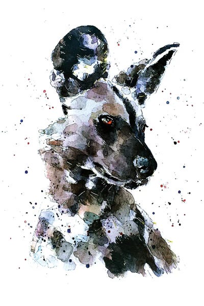African Wild Dog Pomp by EdsWatercolours framed canvas print