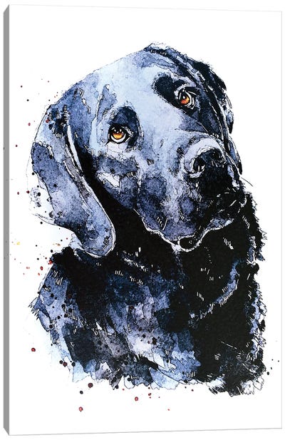 Black Labrador Patiently Waiting Canvas Art Print - Labrador Retriever Art
