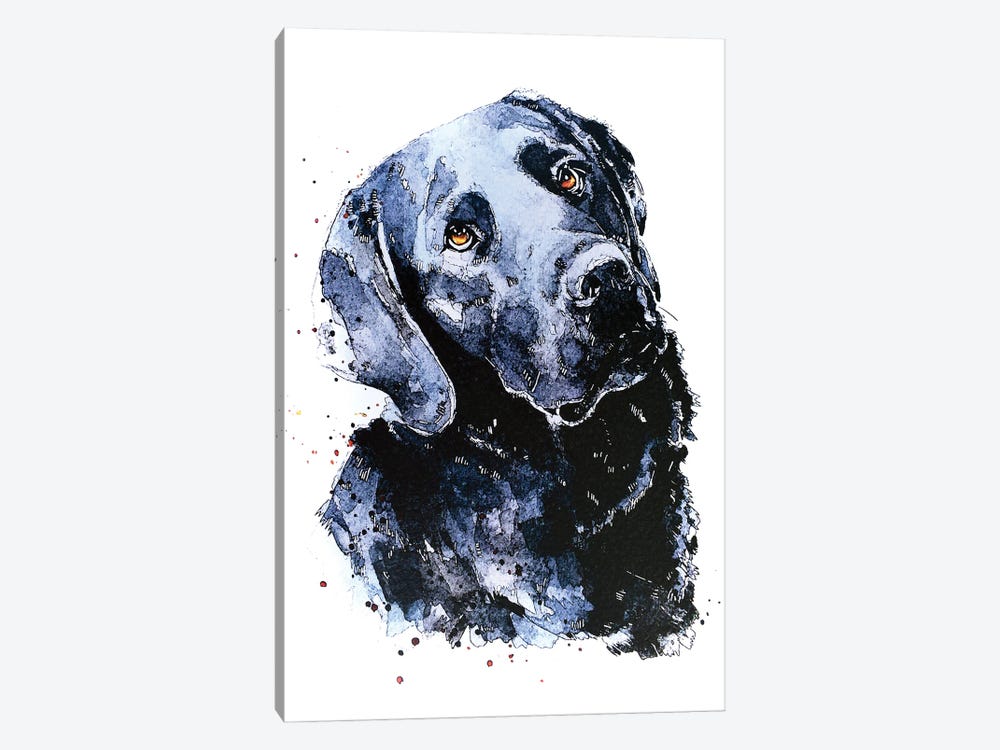 Black Labrador Patiently Waiting by EdsWatercolours 1-piece Canvas Art Print