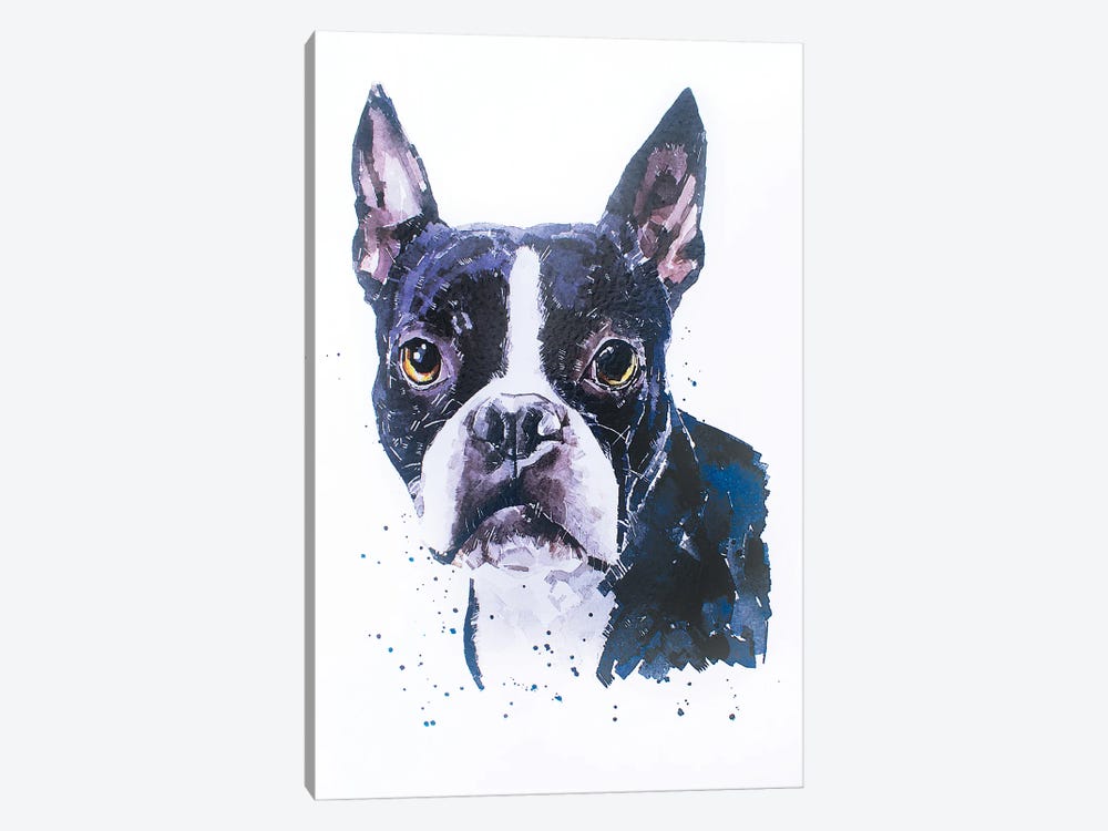 Boston Terrier by EdsWatercolours 1-piece Canvas Art Print