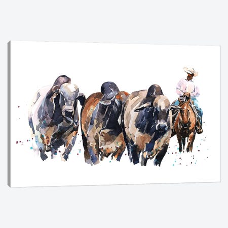 Brahman Cattle And Cowboy Canvas Print #EWC41} by EdsWatercolours Canvas Wall Art