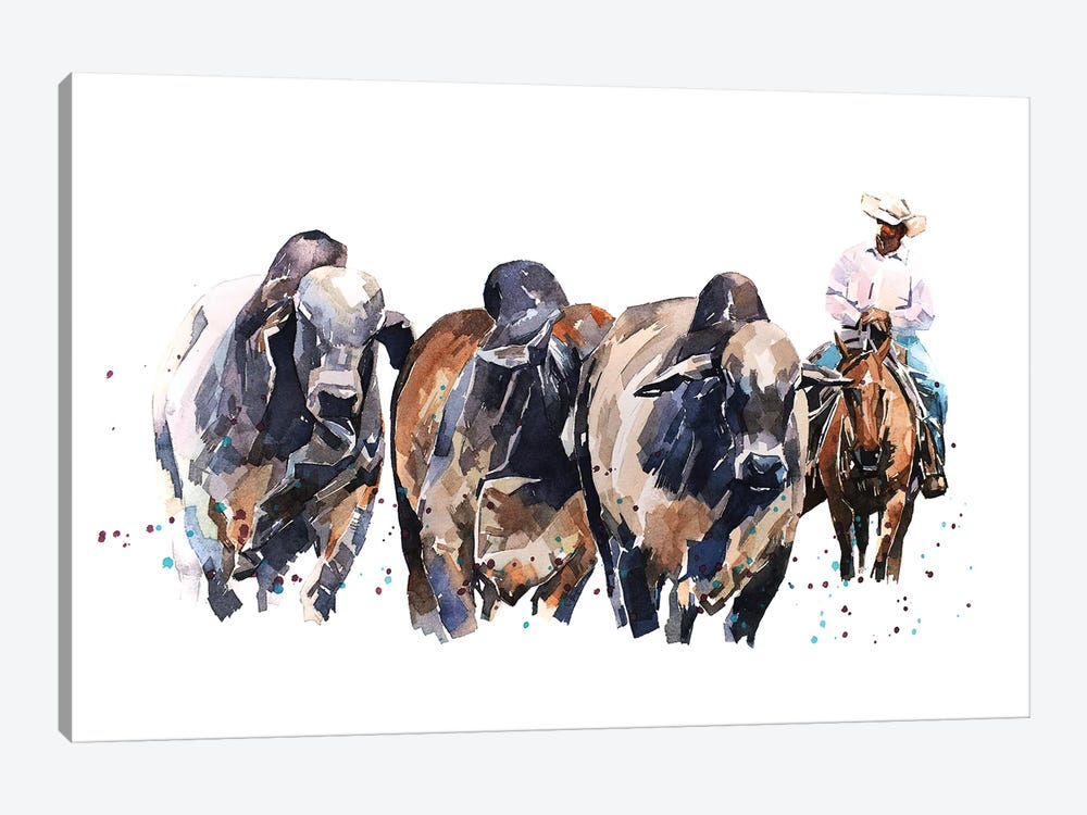 Brahman Cattle And Cowboy by EdsWatercolours 1-piece Canvas Art Print