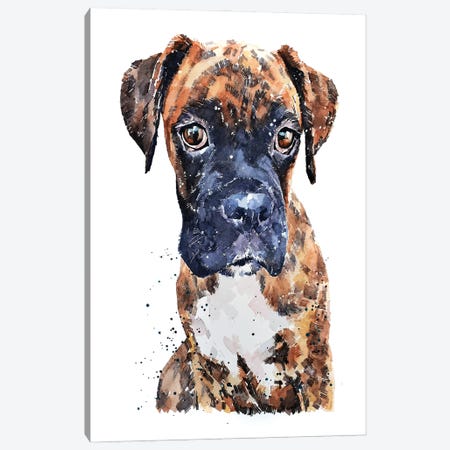 Brindle Boxer Pup Canvas Print #EWC42} by EdsWatercolours Canvas Wall Art