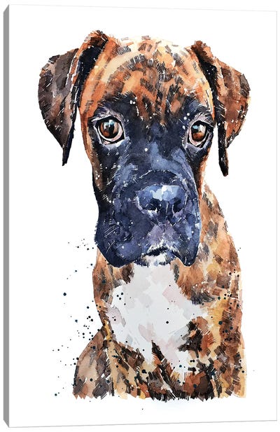 Brindle Boxer Pup Canvas Art Print - Boxer Art