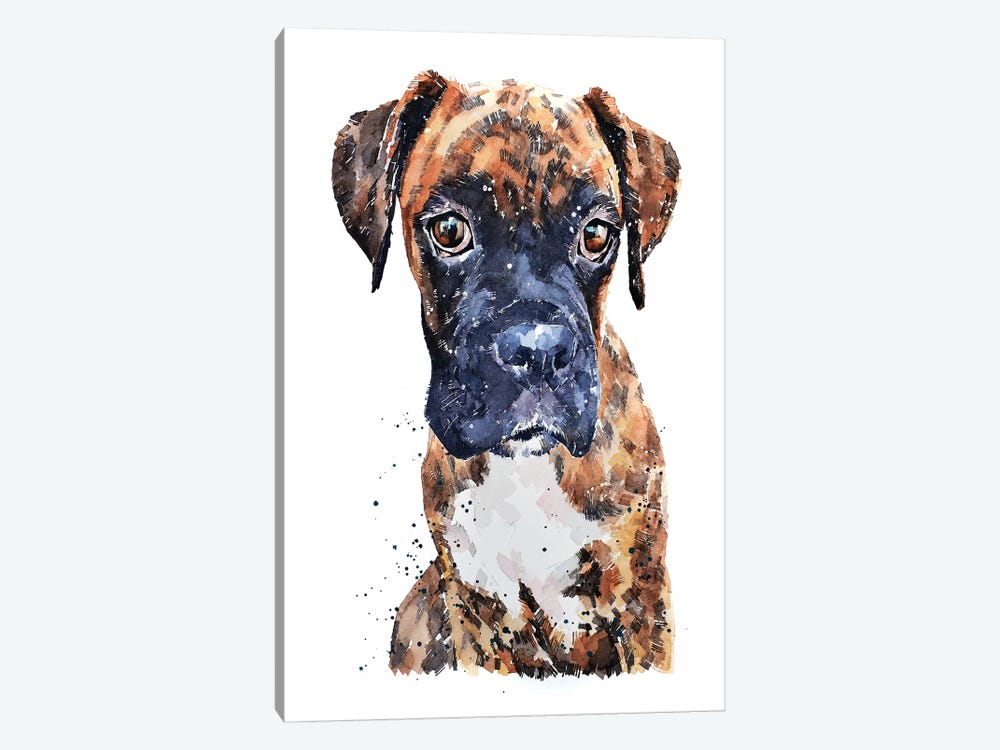 Brindle Boxer Pup by EdsWatercolours 1-piece Canvas Art