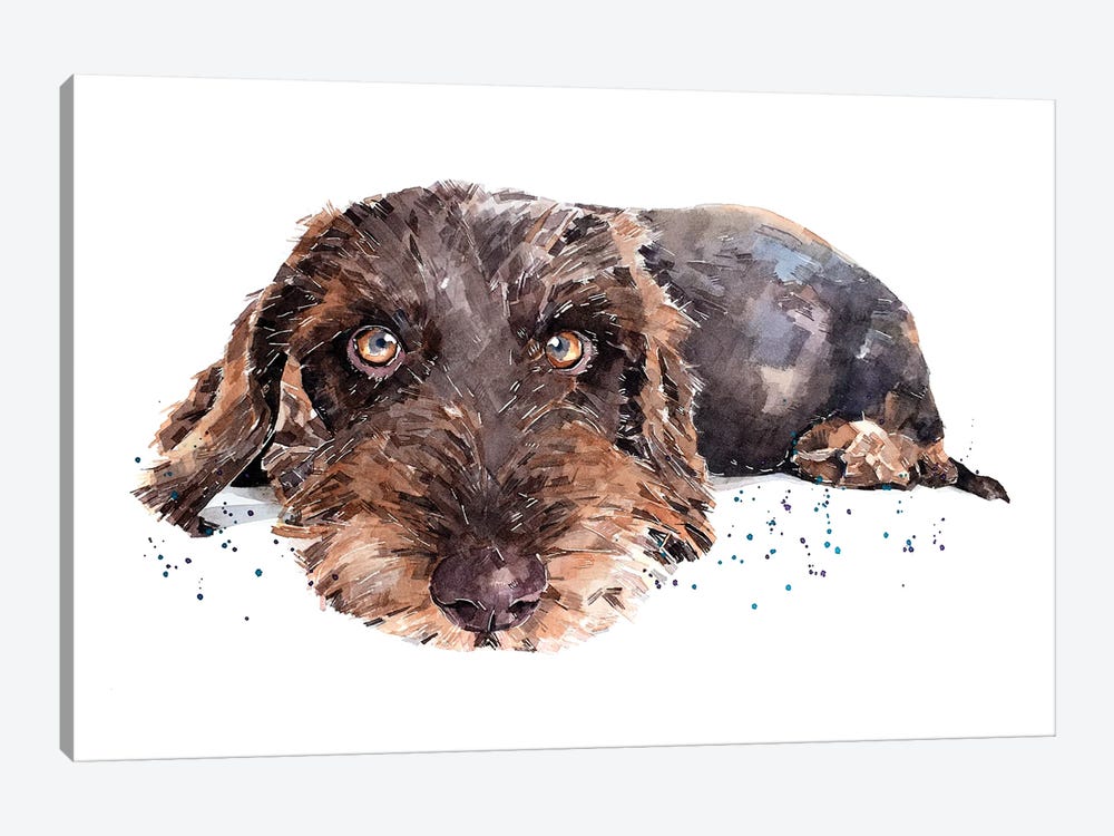 Brown Wirehaired Dachshund by EdsWatercolours 1-piece Canvas Artwork