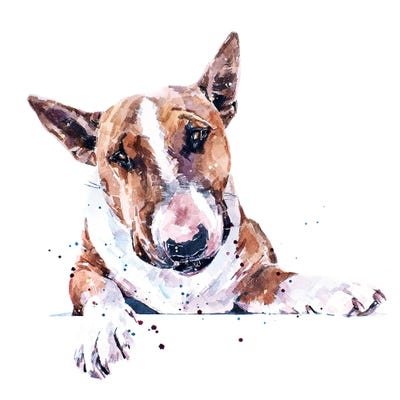 Bull Terrier by EdsWatercolours metal wall art